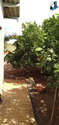 Imagem Casa a venda em Quadra/SP