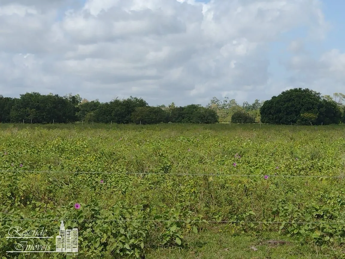 Imagem FAZENDA A VENDA NO RURAL MARGEM DO RIO CAMARÁ