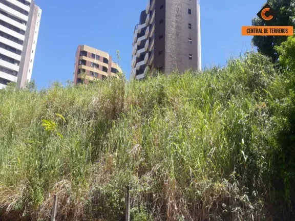 Imagem TERRENO PARA EMPREENDIMENTOS
