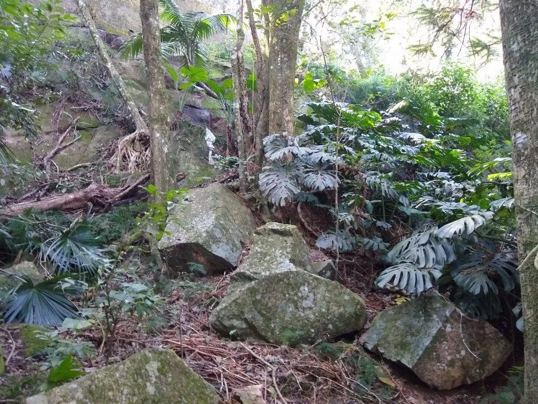 Imagem Terreno em Cascata