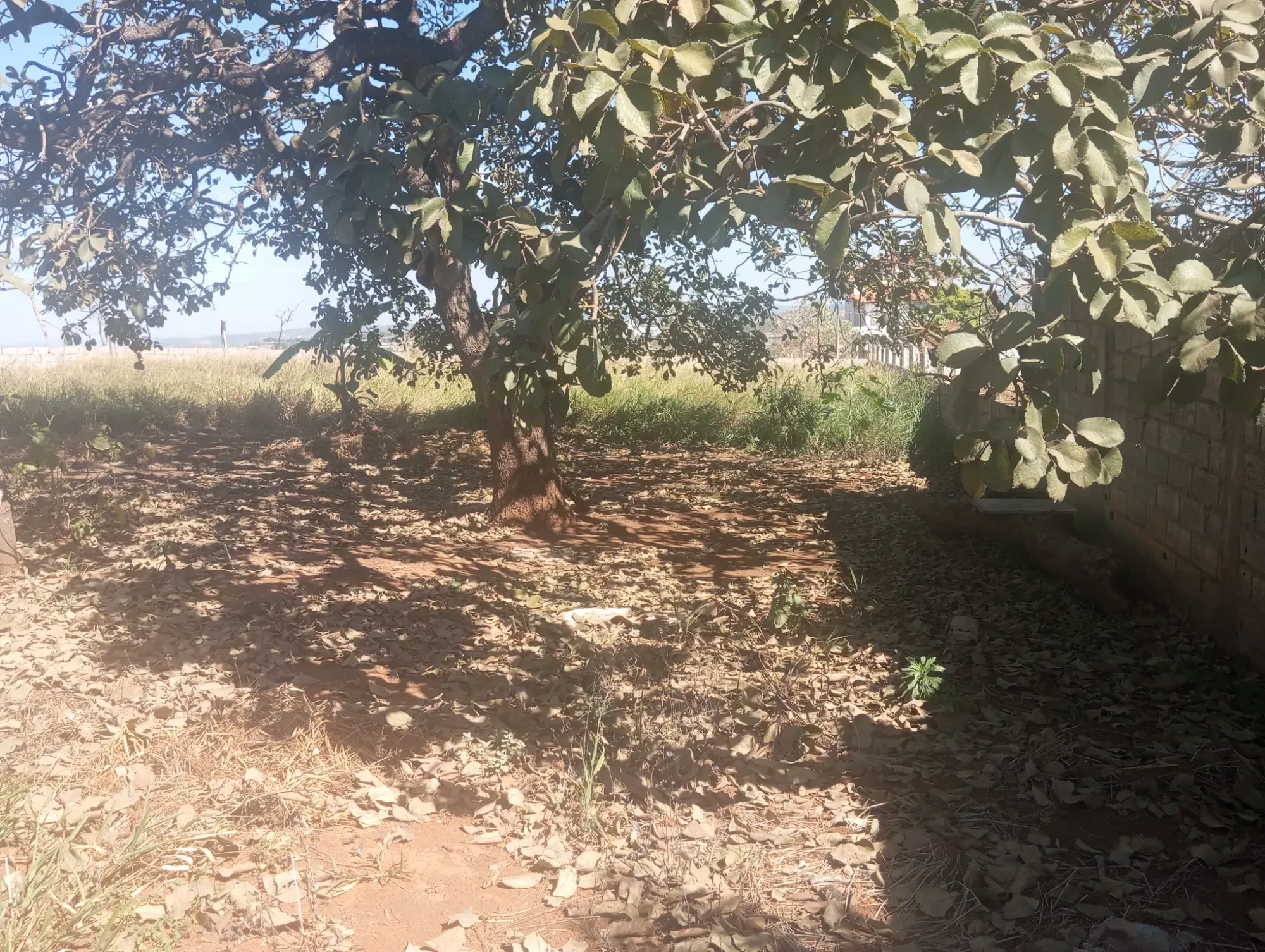 Imagem Chácara com 2 Quartos à Venda, 2.000 m² em Matozinhos - Matozinhos