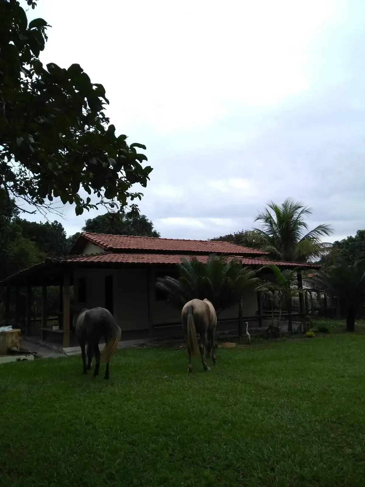 Chácara, 2 m² - Foto 4