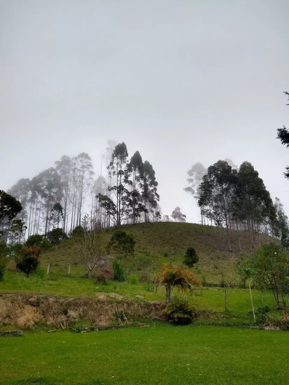 Imagem Chácara à venda 5 Quartos, 1 Suite, 10 Vagas, 24000M², Zona Rural, São Luiz do Paraitinga - SP