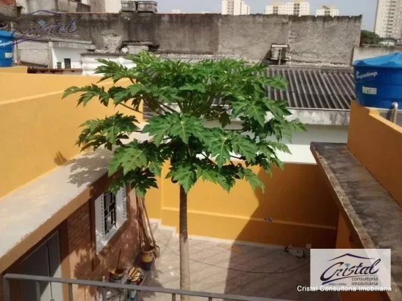 Imagem Casa com 8 dormitórios à venda, 200 m² por R$ 680.000,00 - Butantã - São Paulo/SP