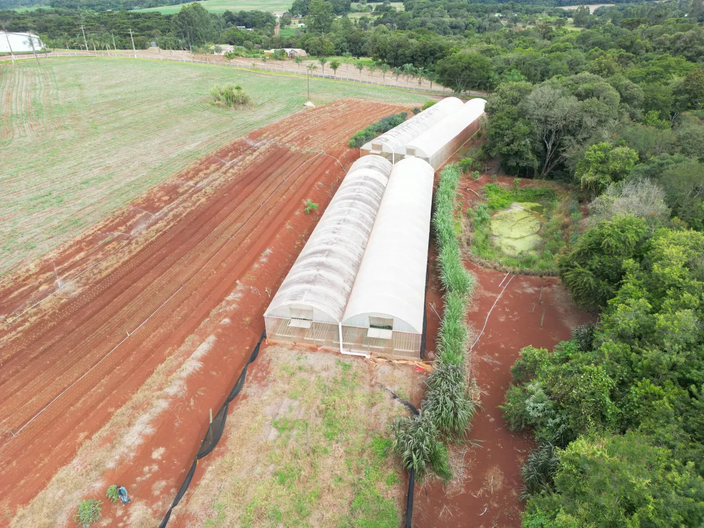 Imagem Chácara em Cascavel - Rio do Salto - Venda - Casa Sede, Lago para Pesca e Pomar - Aproveite!