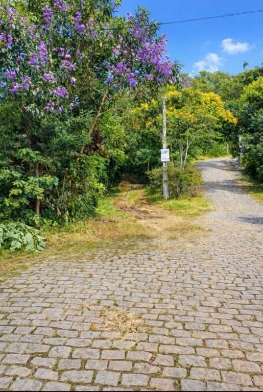 Imagem Terreno para Venda em Teresópolis / RJ no bairro Albuquerque