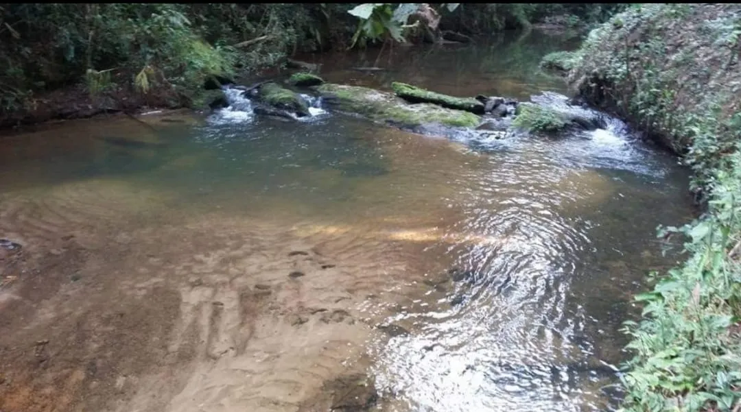 Imagem Chácara à venda 4 Quartos, 4 Suites, 1452000M², Zona Rural, Salesópolis - SP