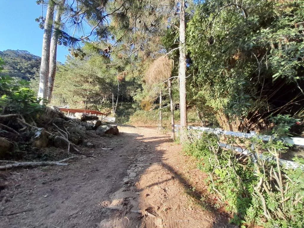 Imagem Haras para Venda em Teresópolis / RJ no bairro Córrego das Pedras