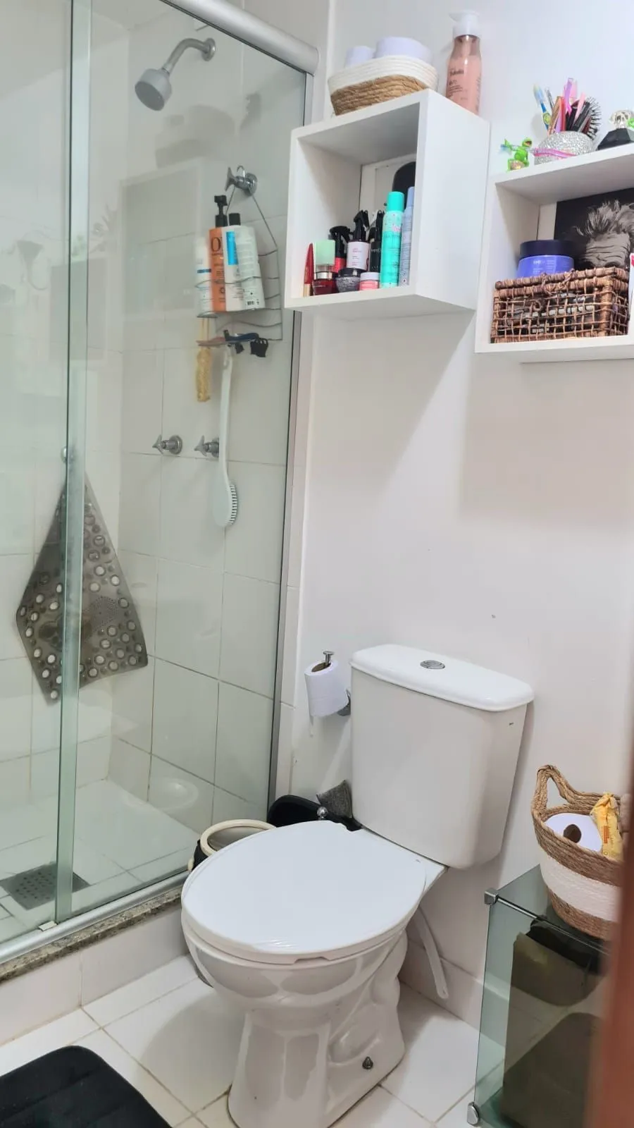 Imagem Apartamento 2 Dormitórios Jardim Carvalho