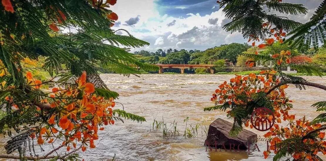 Imagem Terreno à venda em Pirassununga, Vila Santa Fé, 360,00m2