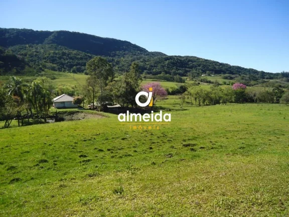 Imagem Chácara 3 dormitórios à venda Zona rural Restinga Seca/RS