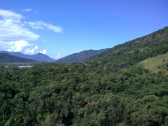 Imagem Excelente Terreno!!! Praia da Tabatinga Caraguatatuba SP