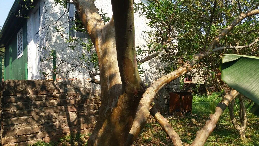 Imagem Terreno para Venda em São Leopoldo / RS no bairro Arroio da Manteiga