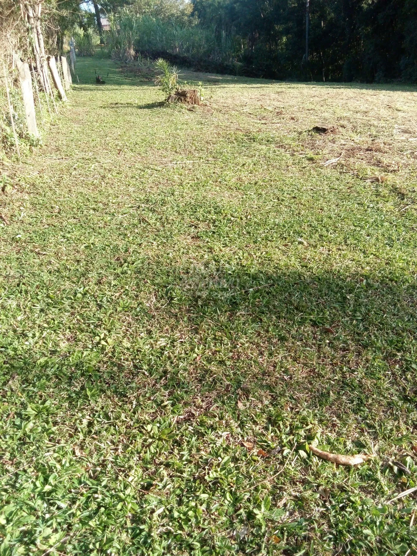 Imagem Chácara para venda em Rolante (8.000m²)