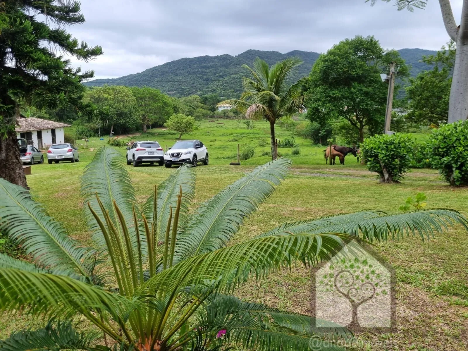 Imagem Chácara na Vargem Grande, Florianópolis/SC