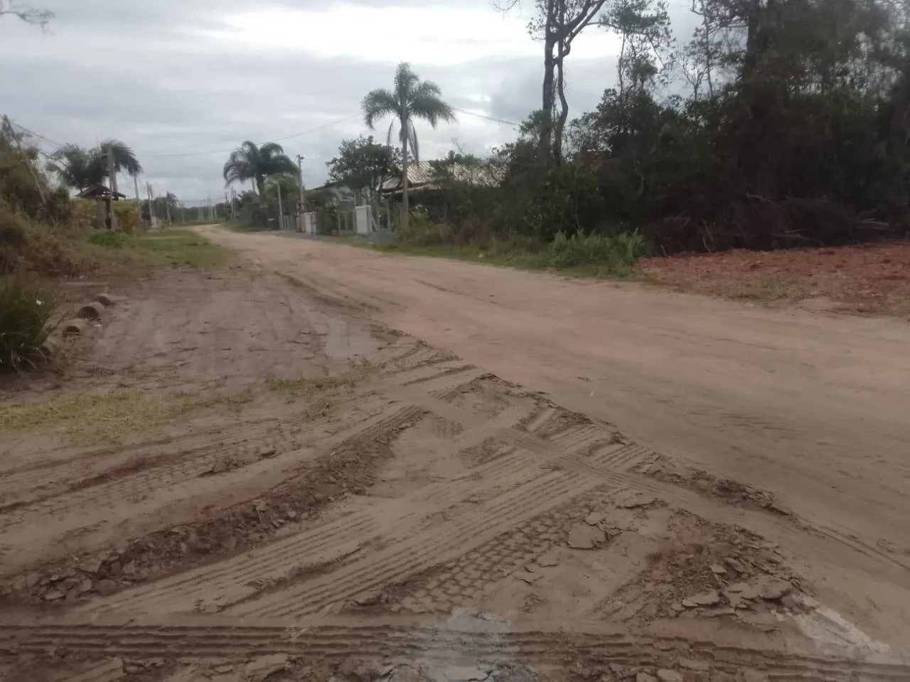 Imagem Vendo lote na praia do Erwino