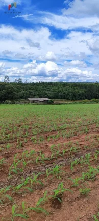 Imagem Fazenda a venda São Miguel Arcanjo SP