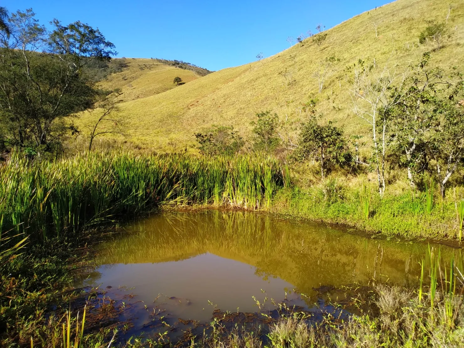 Imagem Chácara à venda 3 Quartos, 36000M², Zona Rural, Cunha - SP
