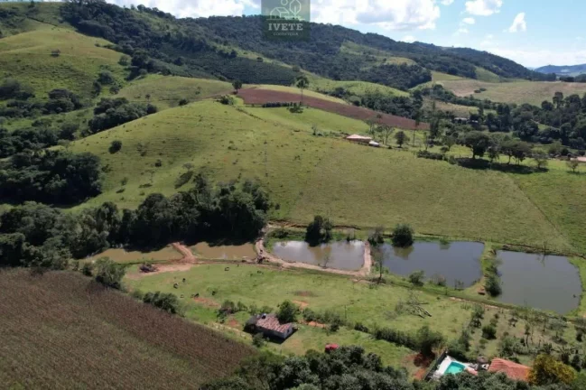 Imagem Chácara de Luxo nos Cardosos - Socorro, SP: Seu Refúgio de Sonho na Natureza