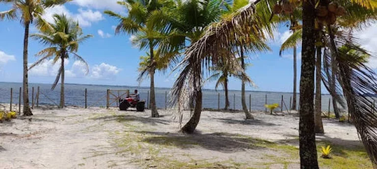 Imagem SOBRADO NA ILHA DOS TUBARÕES