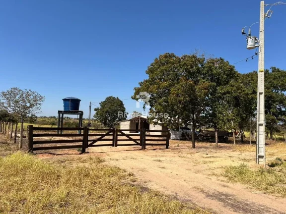 Imagem Fazenda 109 Hectares à venda para Pecuaria Localizada a BR 070 Zona Rural deacesso a , Cáceres, MT