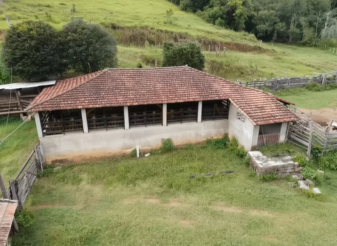 Imagem Sítio 52,64 ha à venda em Figueira, Caldas