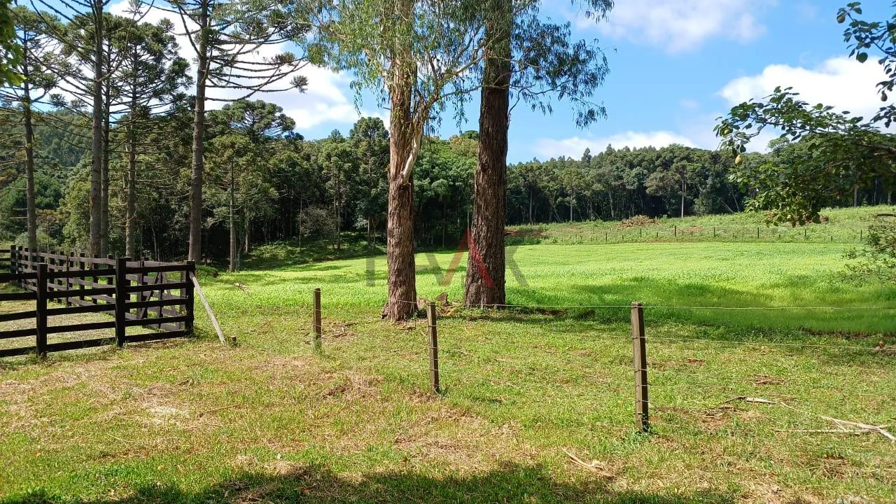 Imagem Area Rural Porteira Fechada, Arroio Fundo dos Rizis, TURVO - PR