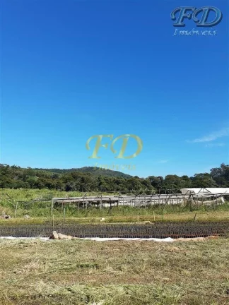 Imagem EXCELENTE SÍTIO EMATIBAIA-SP Características: 3,5 alqueires de área total (aprox. 75.000,00 m²) ...
