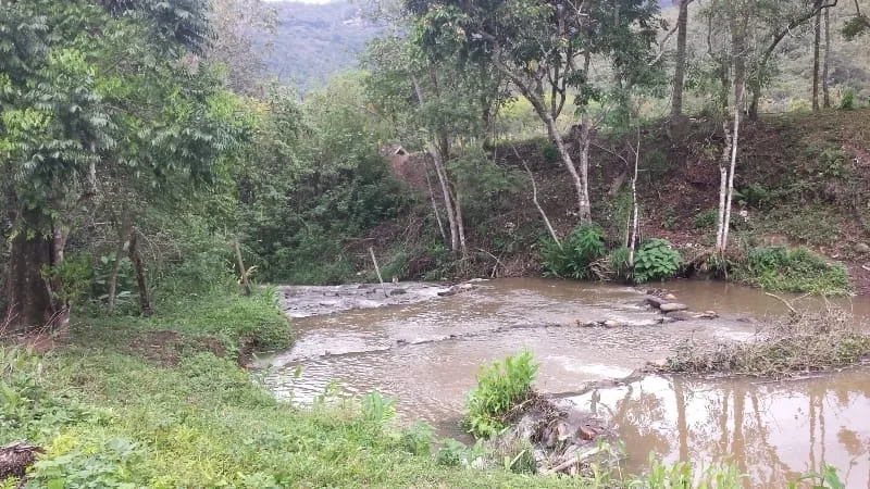 Imagem Chácara à venda 3 Quartos, 4 Vagas, 10000M², Ribeirão Grande, Pindamonhangaba - SP