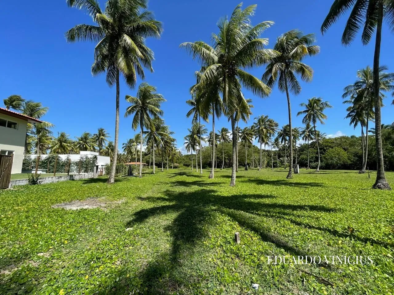 Imagem Sítio dos Coqueiros - Terreno 1.000 m² à Venda na Terceira Praia do Morro de São Paulo