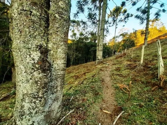 Imagem Chácara à venda 170000M², Paraibuna, Cunha - SP