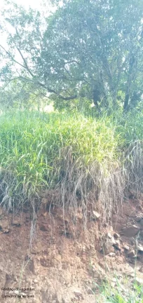Imagem CHACARA RURAL em CALDAS - MG, CAMPININHA
