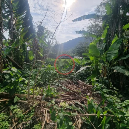 Foto do imóvel Terreno Plano em rua asfaltada em uma travessa do cascalho