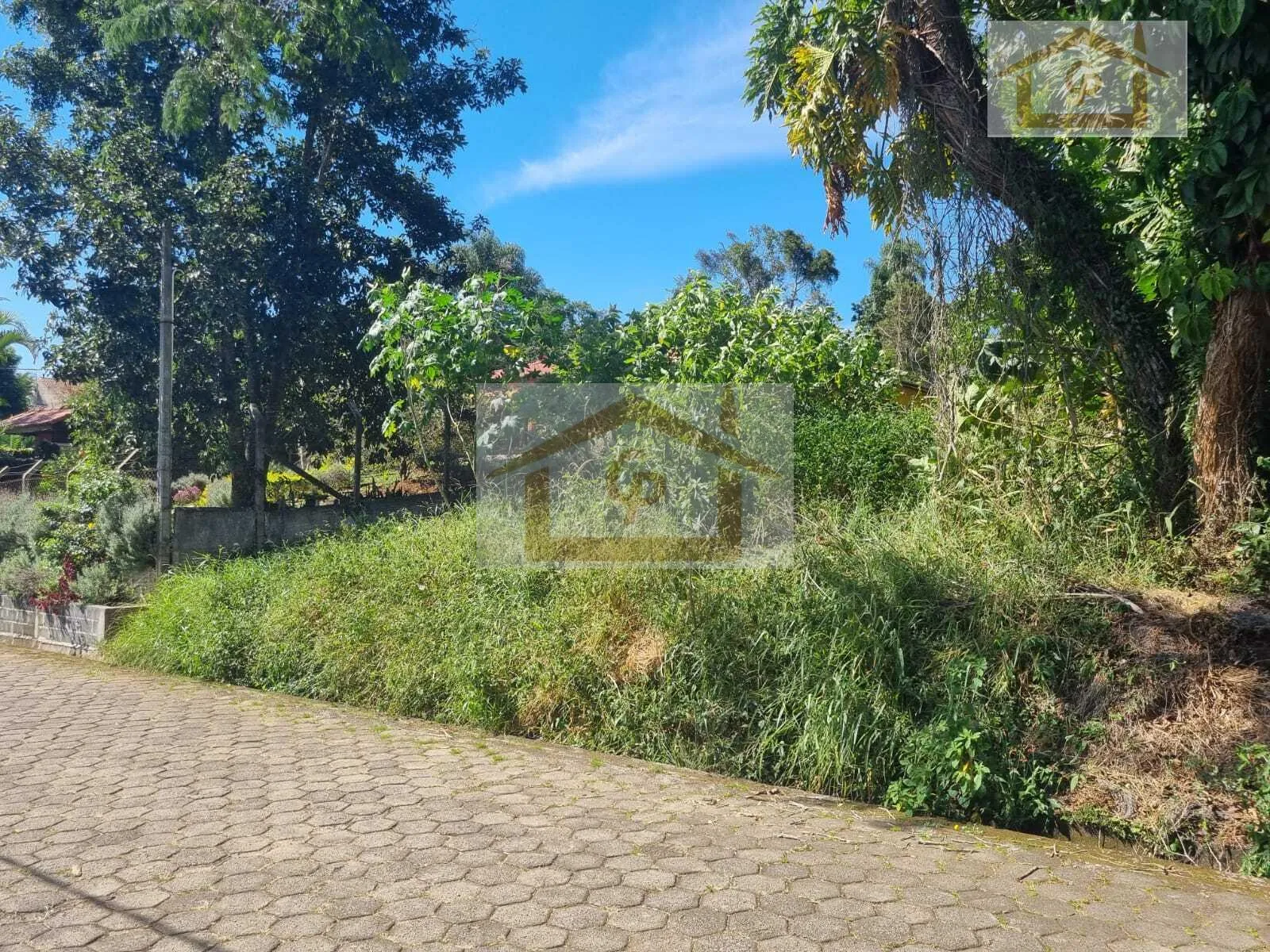 Imagem Imperdível, São 1000 metros, Residencial Tradicional próximo ao Futuro Shopping