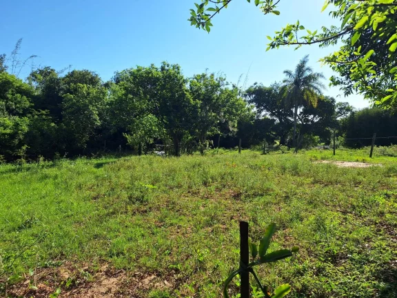 Imagem LINDA ÁREA!!! com 1.280m², cercada, ônibus, luz e internet, Lombas, Viamão.