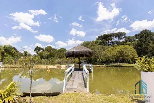 Imagem (PERMUTA) Chácara, com tanque de peixe, de várias espécies, duas casas, próximo ao centro de Contenda PR