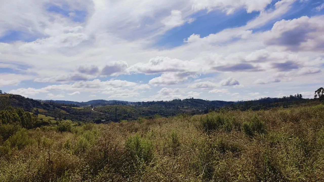 Imagem Excelente Terreno à Venda em Desterro de Entre Rios: 15 Hectares Totalmente Plano