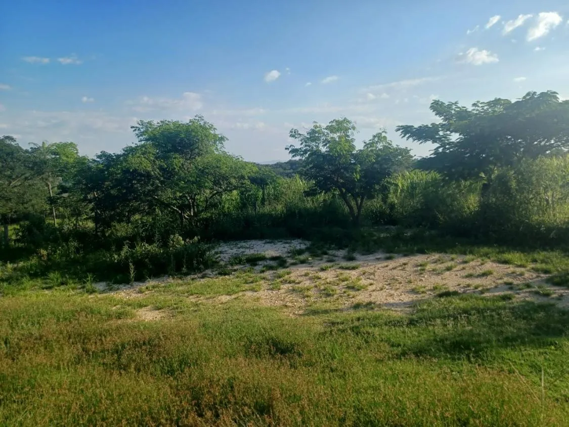 Imagem Vendo excelente fazendinha em Esmeraldas/MG 78 hectares de terra