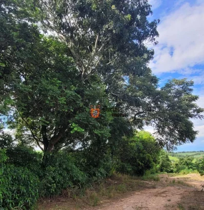 Imagem Sítio Produtivo à venda, 44500 m² por R$ 1.250.000 - Monte Mor - Monte Mor/SP