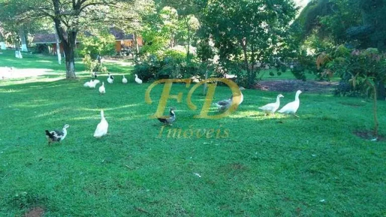 Imagem Sitio em Vargem-SP divisa com Extrema - MG
