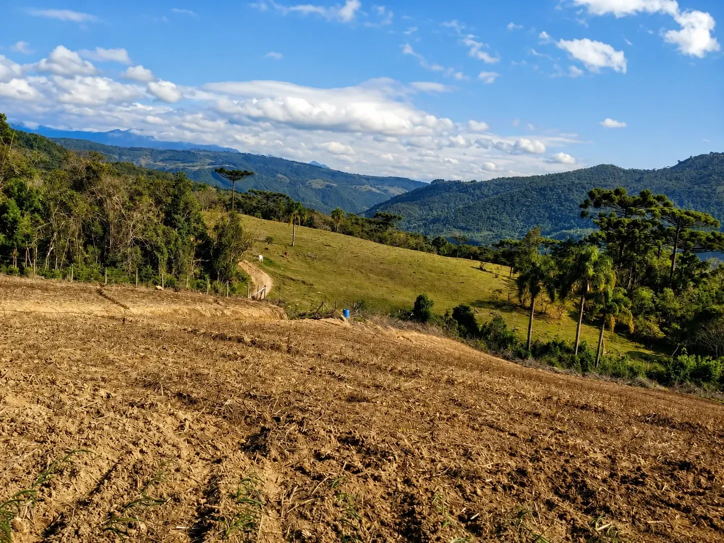 Imagem Chácara com 2 Quartos à Venda, 60000 m² em Alfredo Wagner - Alfredo Wagner