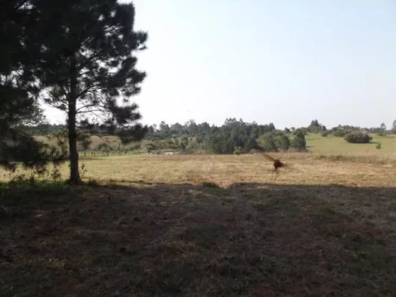 Imagem INVESTIDORES!!! Excelente área de 8 Hectares, frente RS040, Águas Claras