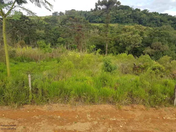 Imagem CHACARA RURAL em LARANJEIRAS DE CALDAS - MG, LARANJEIRAS DE CALDAS