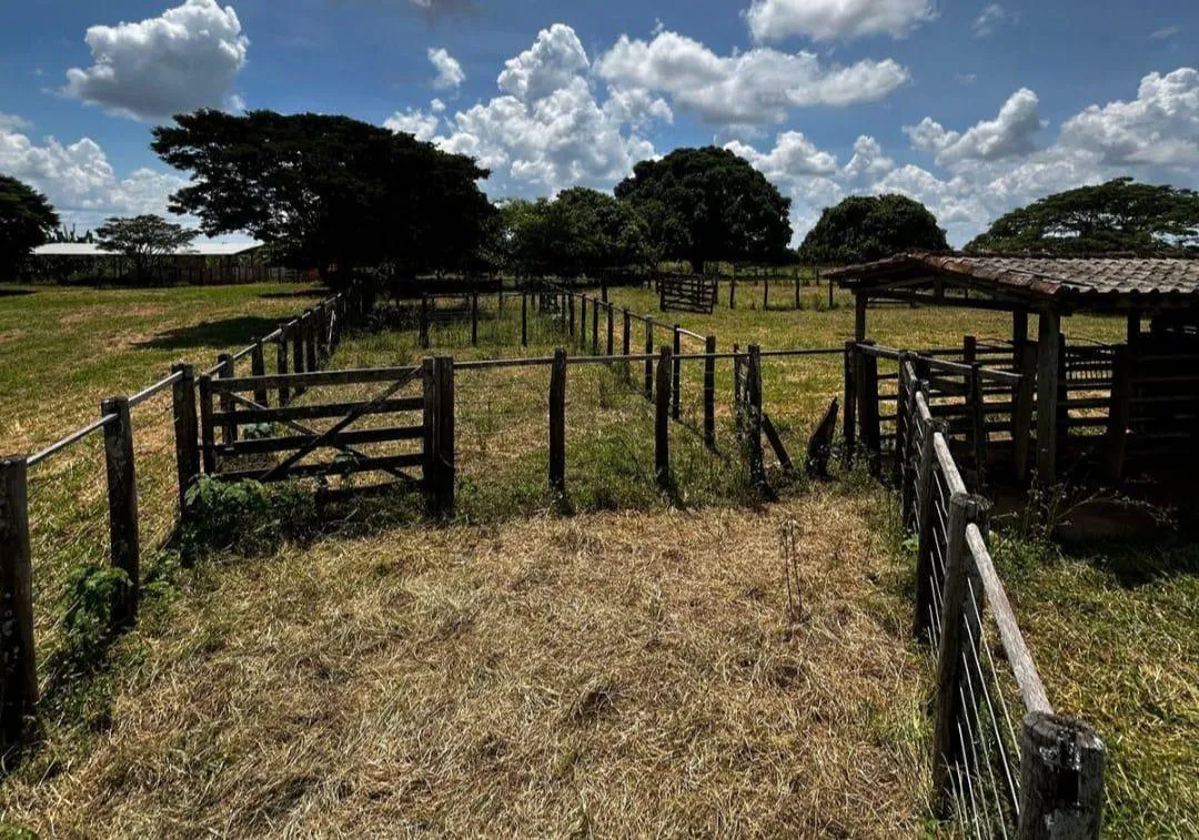 Imagem Vendo uma ótima fazenda em Dores do Indaiá/MG 205 hectares de terra