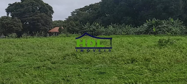 Imagem Fazenda 240 Alqs Dupla Aptidão em Peixe TO