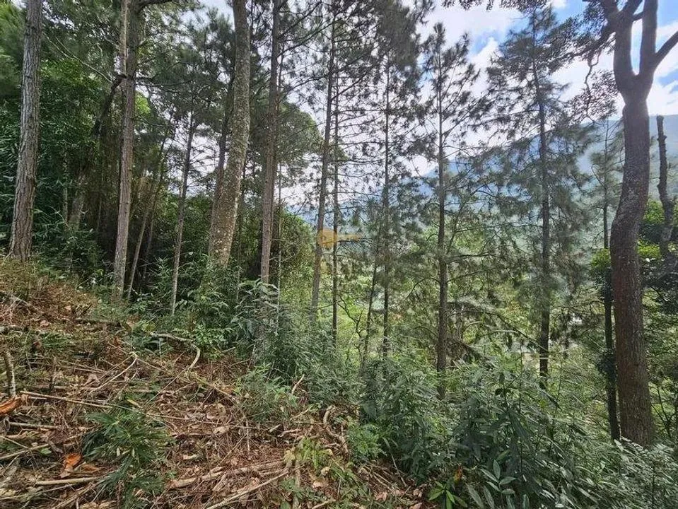 Imagem Terreno para Venda em Teresópolis / RJ no bairro Cascata dos Amores