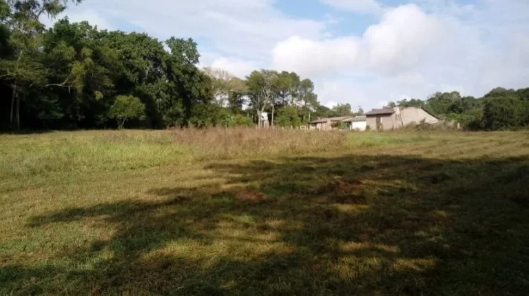 Imagem Sitio com 5.536m², mata nativa, Lagoa nos fundos, Águas Claras/ Viamão