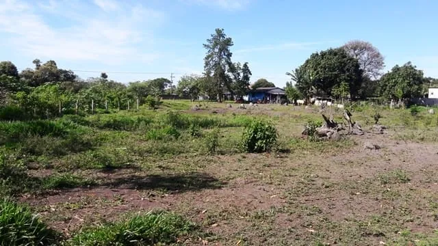 Imagem Chácara à venda 3 Quartos, 1 Suite, 4 Vagas, 8933.77M², Feital, Pindamonhangaba - SP