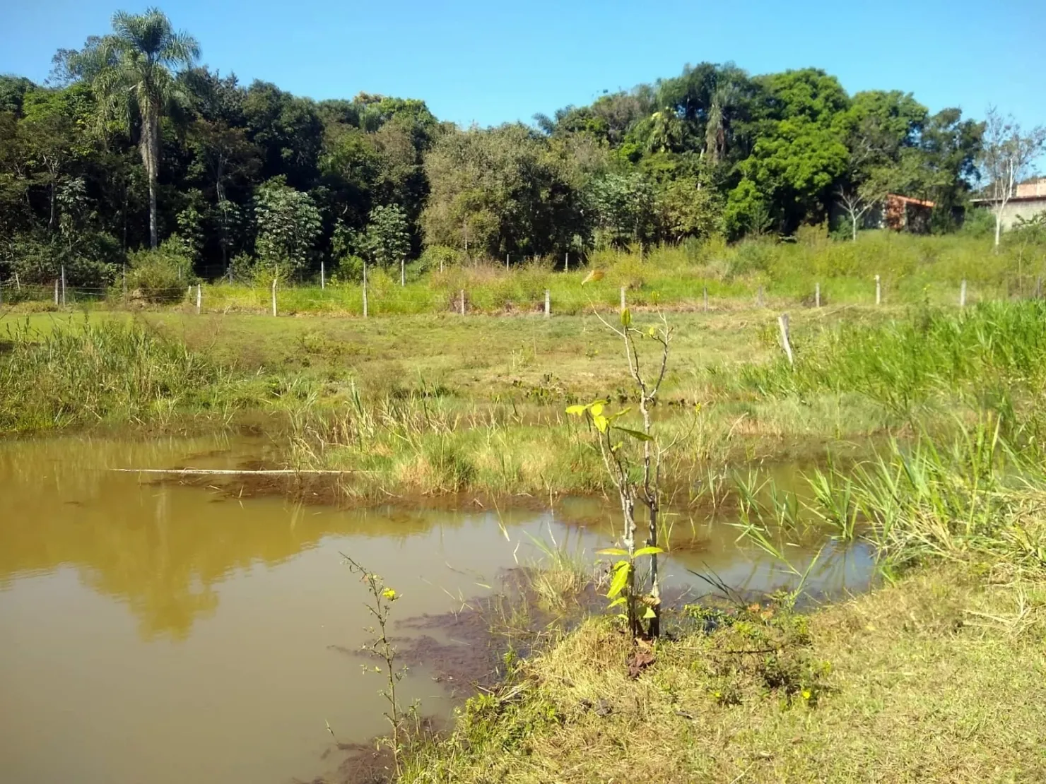 Imagem Chácara à venda, Bosque dos Ipês, Guaratinguetá, SP