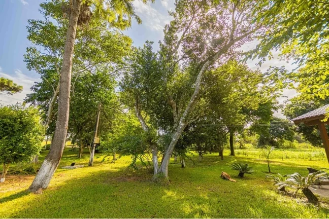 Imagem ÁCDL 2599 612531046-158 - Fazenda à venda no bairro Águas Claras - Viamão/RS